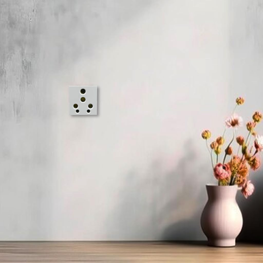 BITCORP 16A 6 pin Socket Without Shutter Big Multiplug Indian Electrical Adaptor Modular