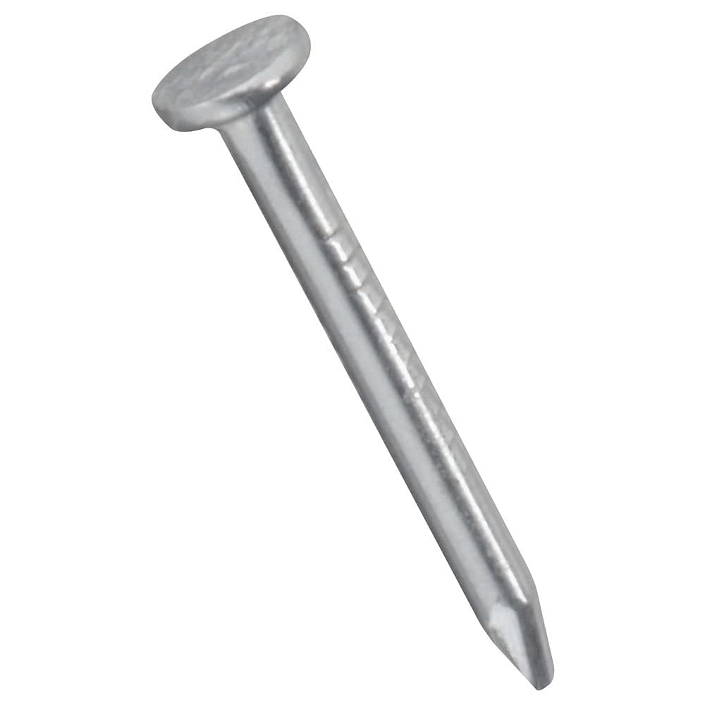 BITCORP DIY Hardware (Wire Nail (Silver), 2 Inch)