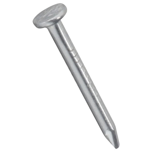 BITCORP DIY Hardware (Wire Nail (Silver), 2 Inch)