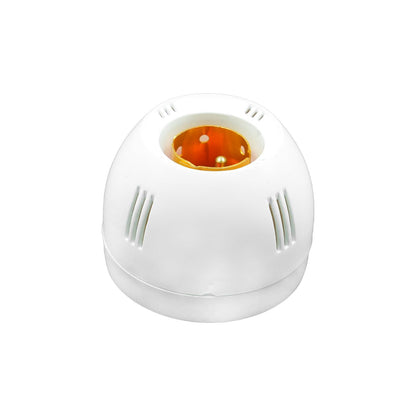 BITCORP Bulb Holder for Wall, 6A B22 Batten Lamp Holder Bulb for Home | Batten base holder White With Screw