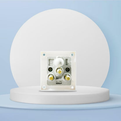 BITCORP 16A 6 pin Socket Without Shutter Big Multiplug Indian Electrical Adaptor Non Modular