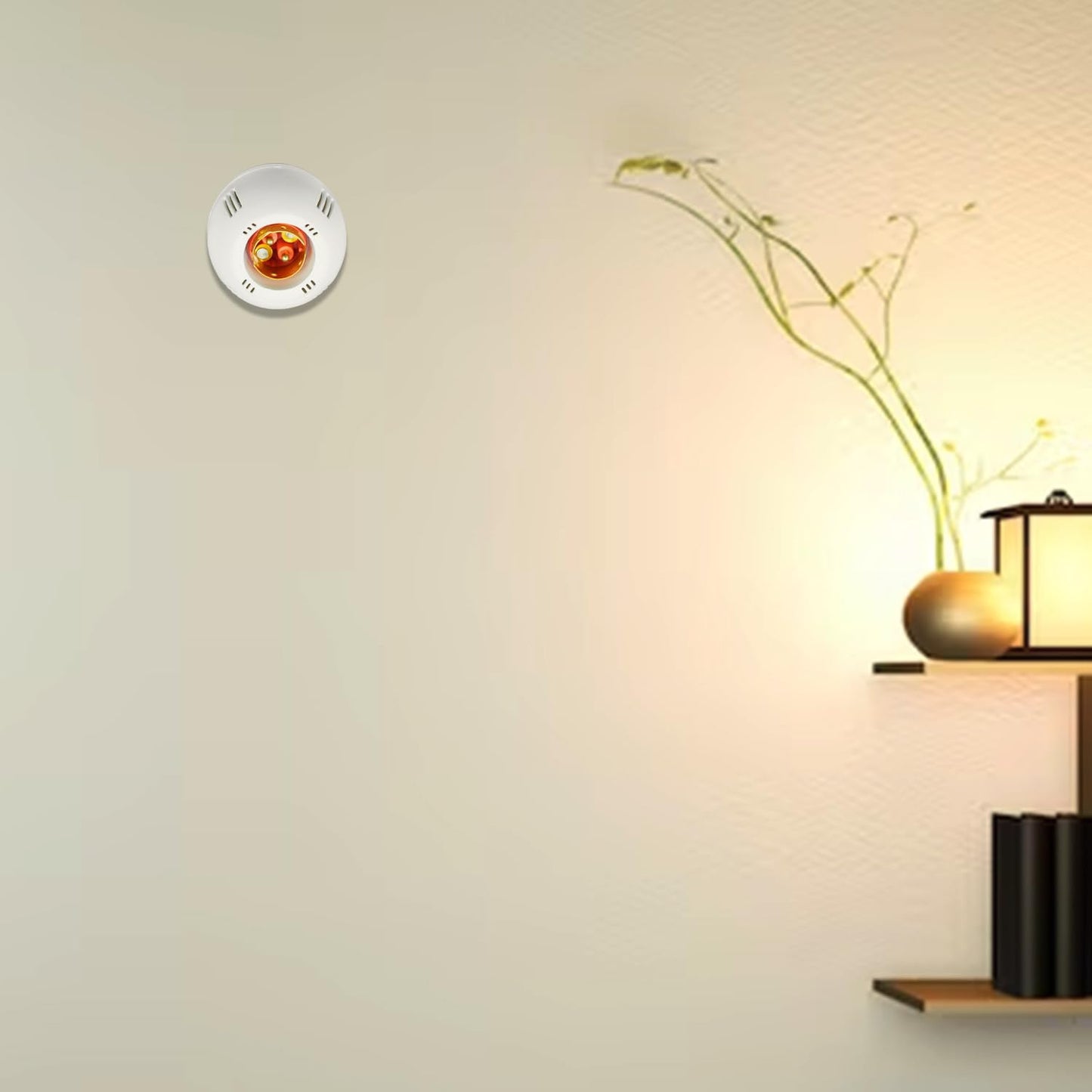 BITCORP Bulb Holder for Wall, 6A B22 Batten Lamp Holder Bulb for Home | Batten base holder White With Screw