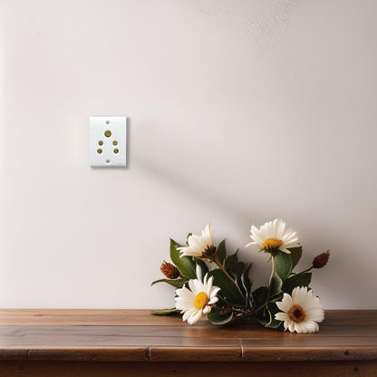 BITCORP 6A 5 Pin Non Modular Electrical Socket Elegant Design in White Colour