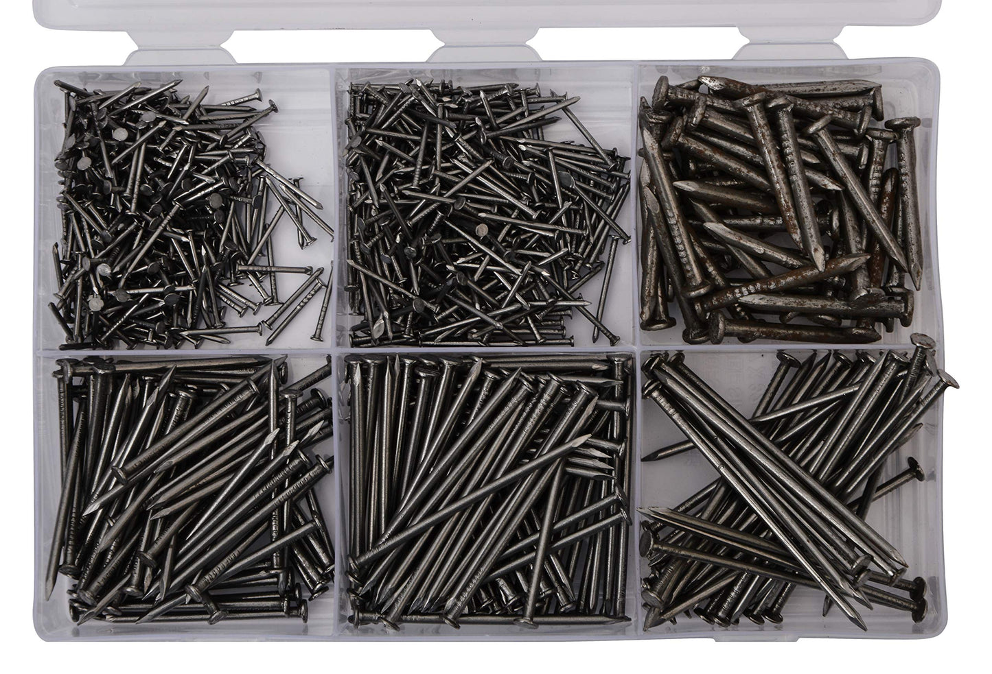 BITCORP DIY Hardware 800ACR Metal Assorted Common Round Wire Nails (Pack of 800)